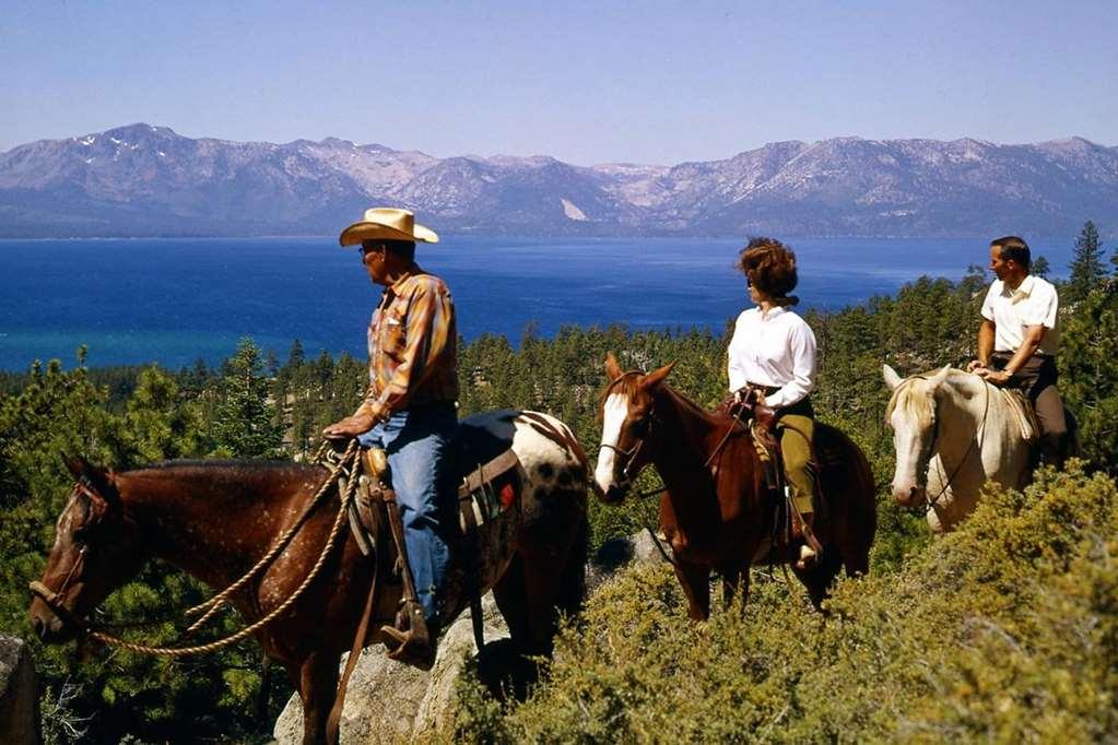 Evo Hotel Tahoe City Servizi foto
